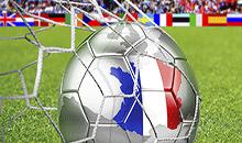 丹农高品质草坪助力2016法国欧洲杯决赛